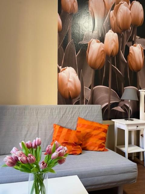 Apartman Galerie Ντέτσιν Εξωτερικό φωτογραφία